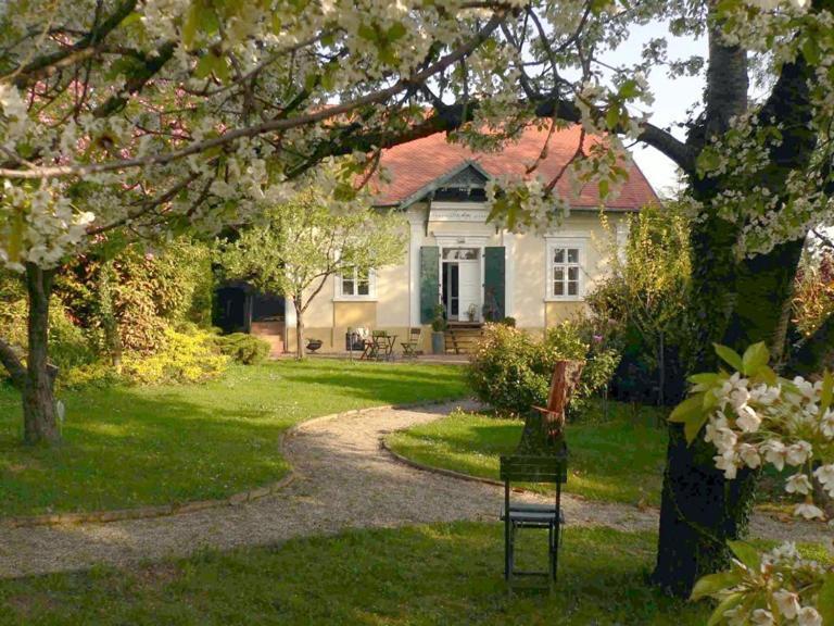 Villa Mimi Sopron Bagian luar foto